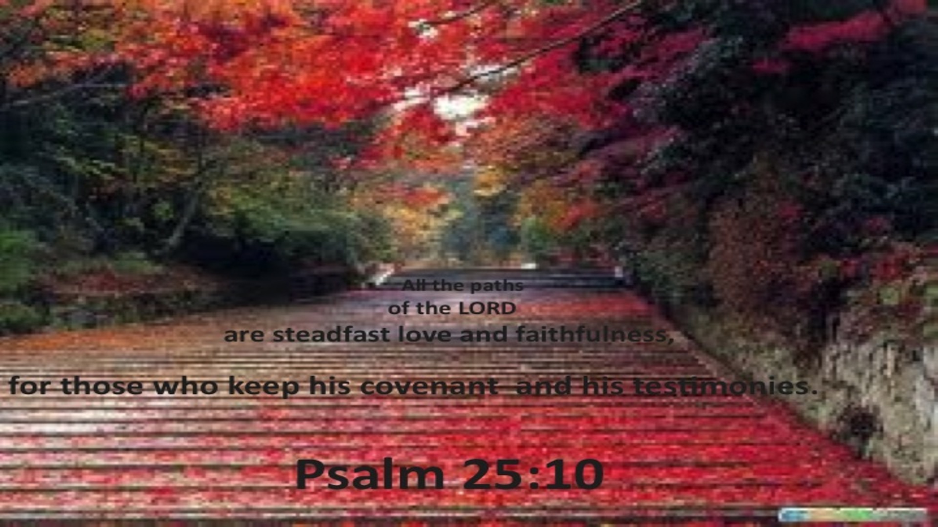 Psalm 25:10 Stedfast Love and Faithfulness (red) 